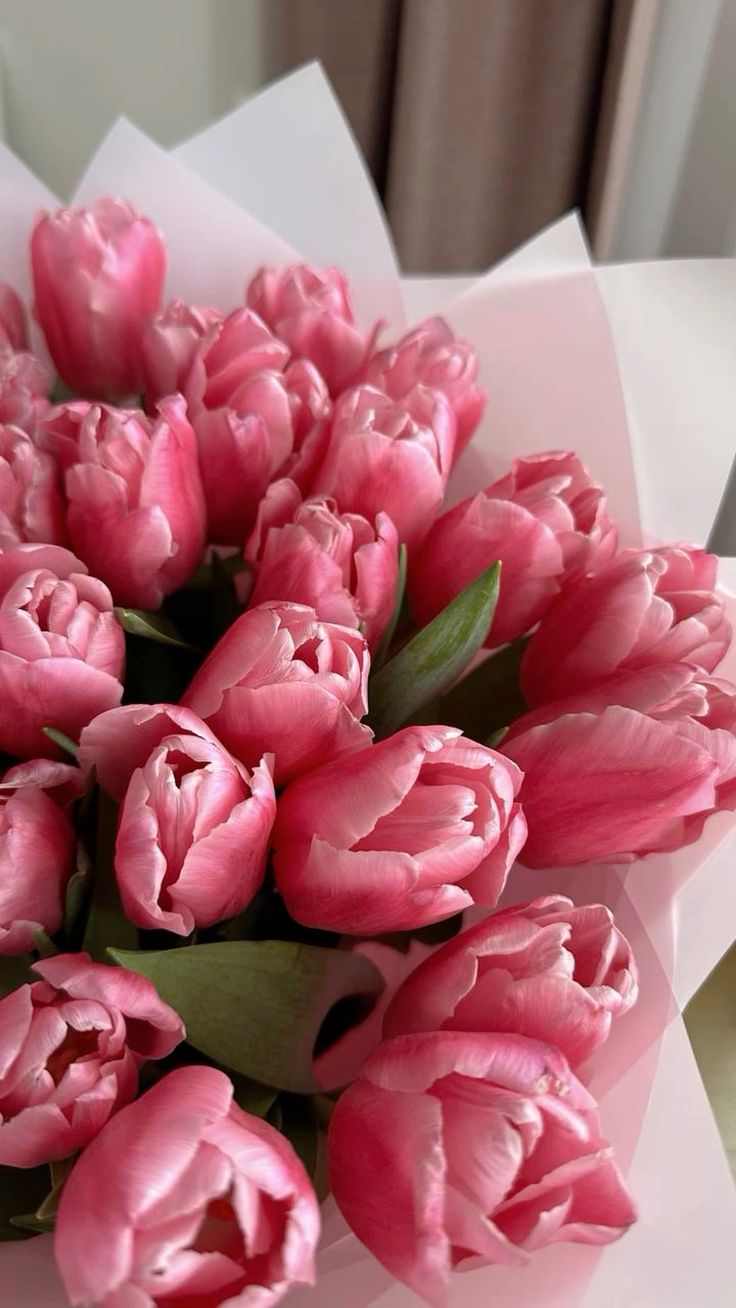 Tulipanes
