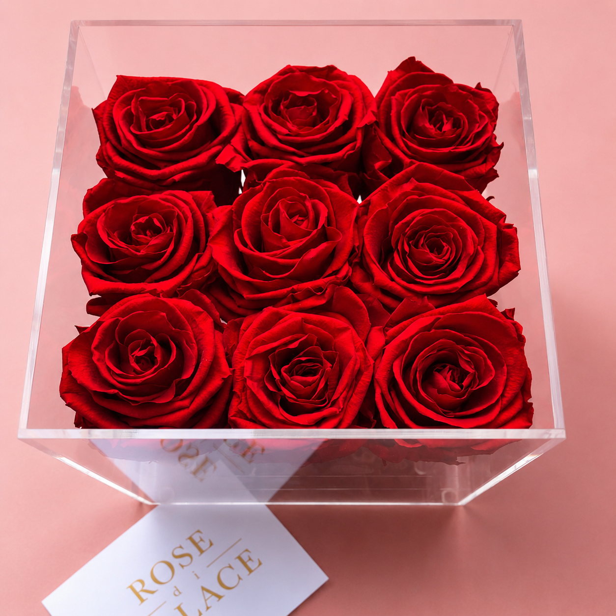 Box infinita 9 Rosas