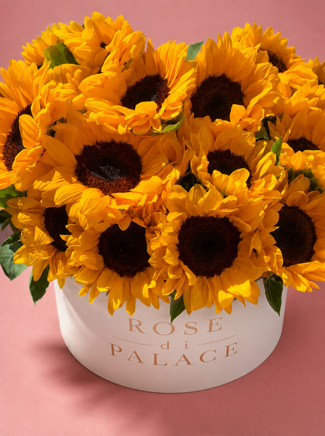 Box Girasoles Big
