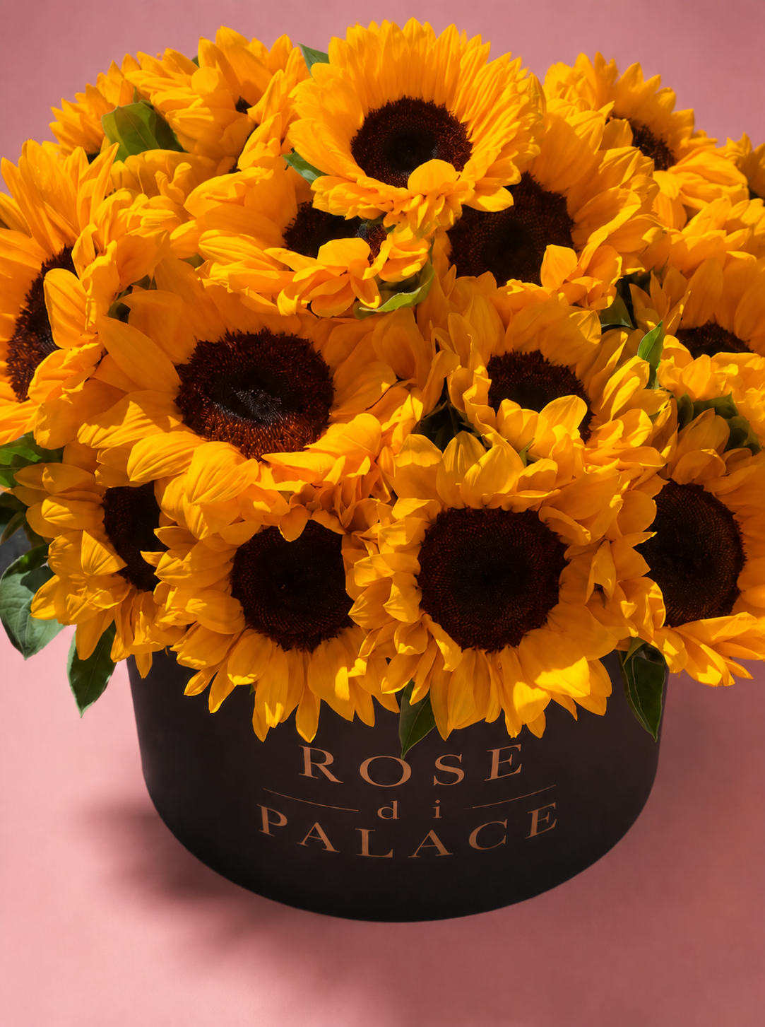Box Girasoles Big
