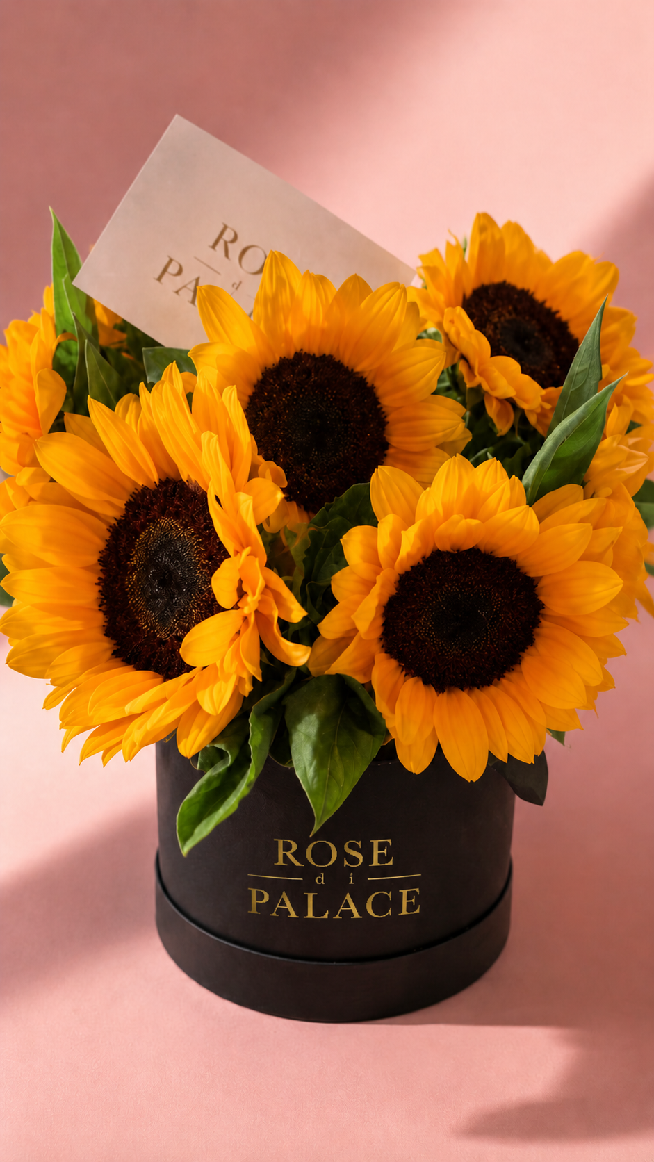 Box Girasoles Small
