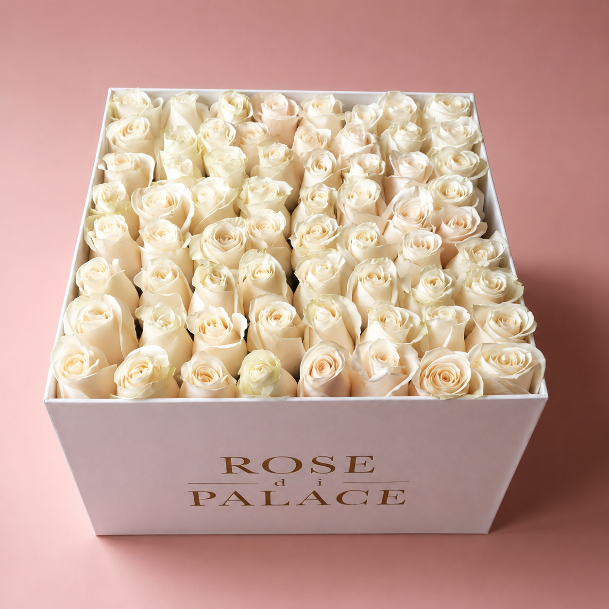 Box cuadrada 64 rosas