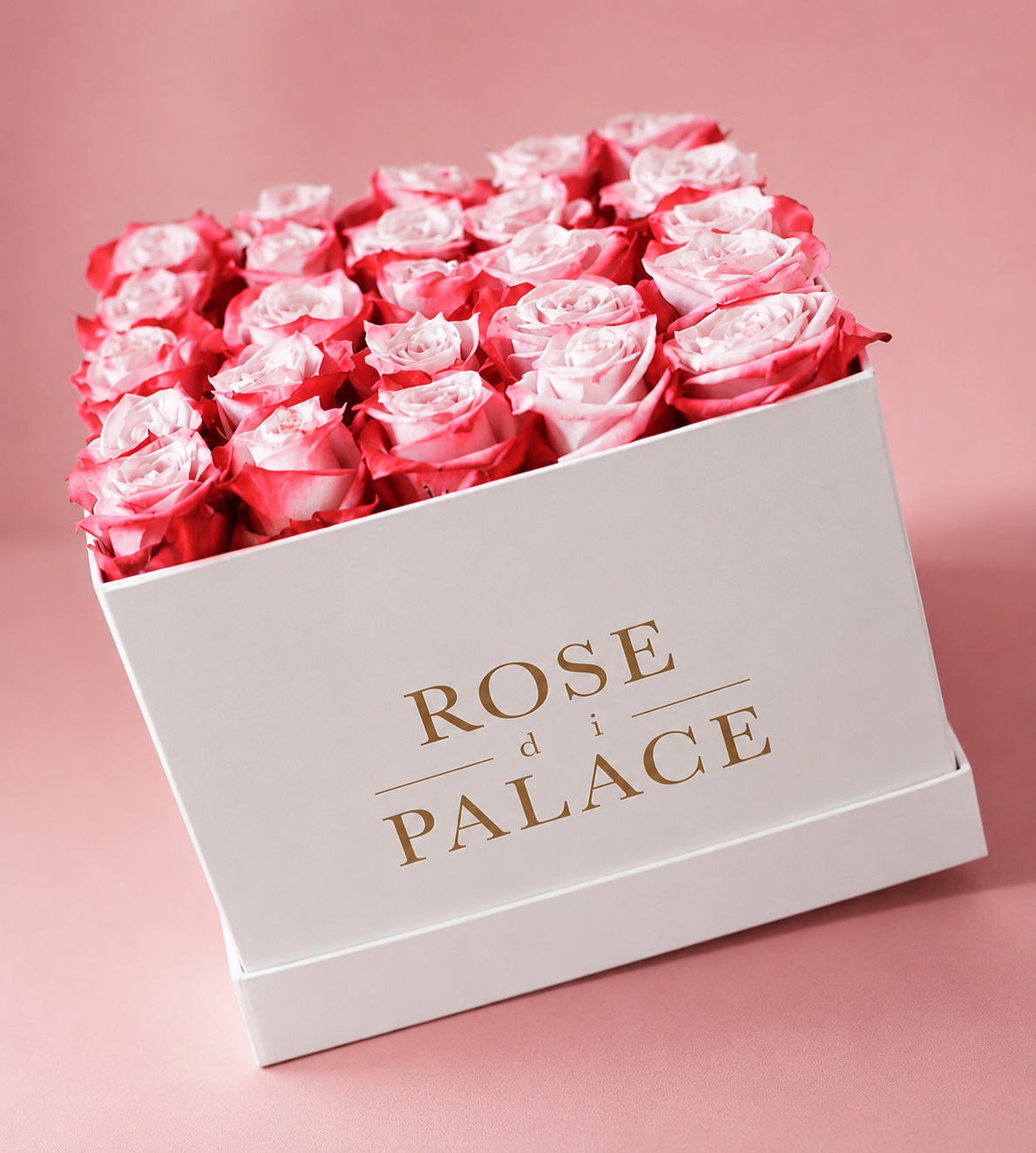 Box mediana 25 rosas