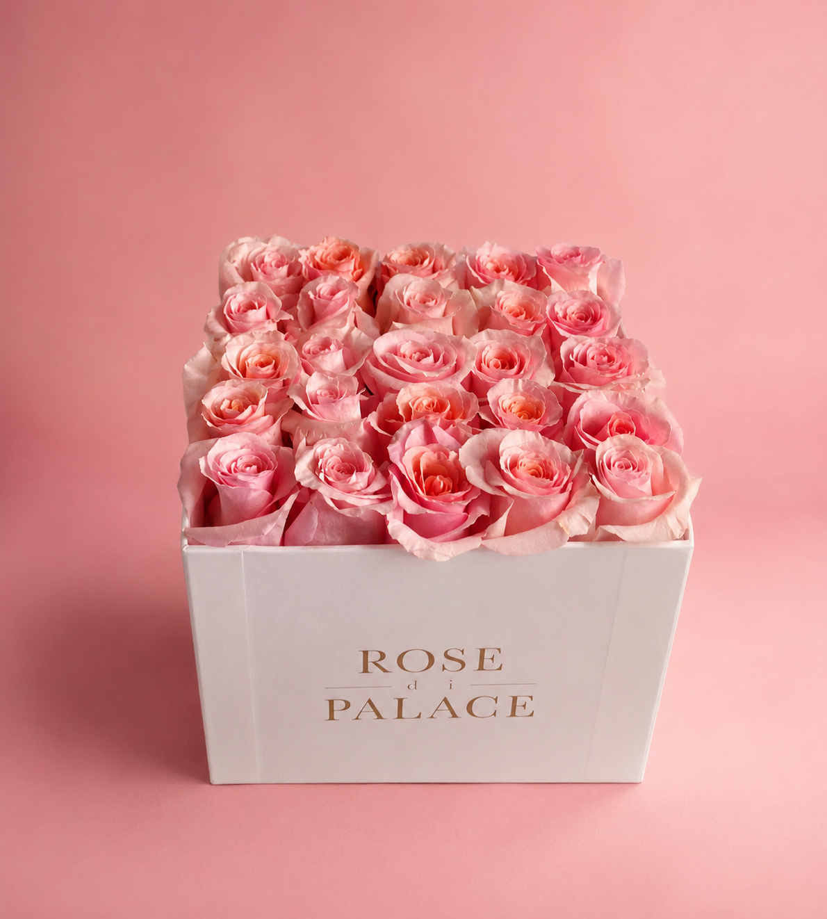 Box mediana 25 rosas