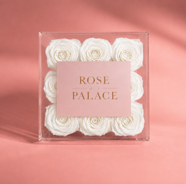 Box infinita 9 Rosas