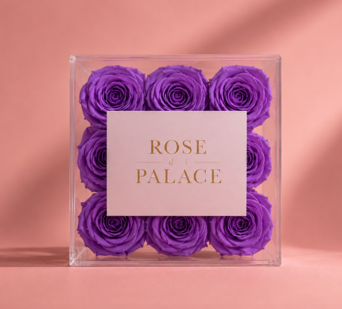 Box infinita 9 Rosas