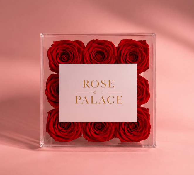 Box infinita 9 Rosas