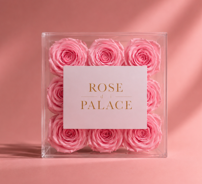 Box infinita 9 Rosas