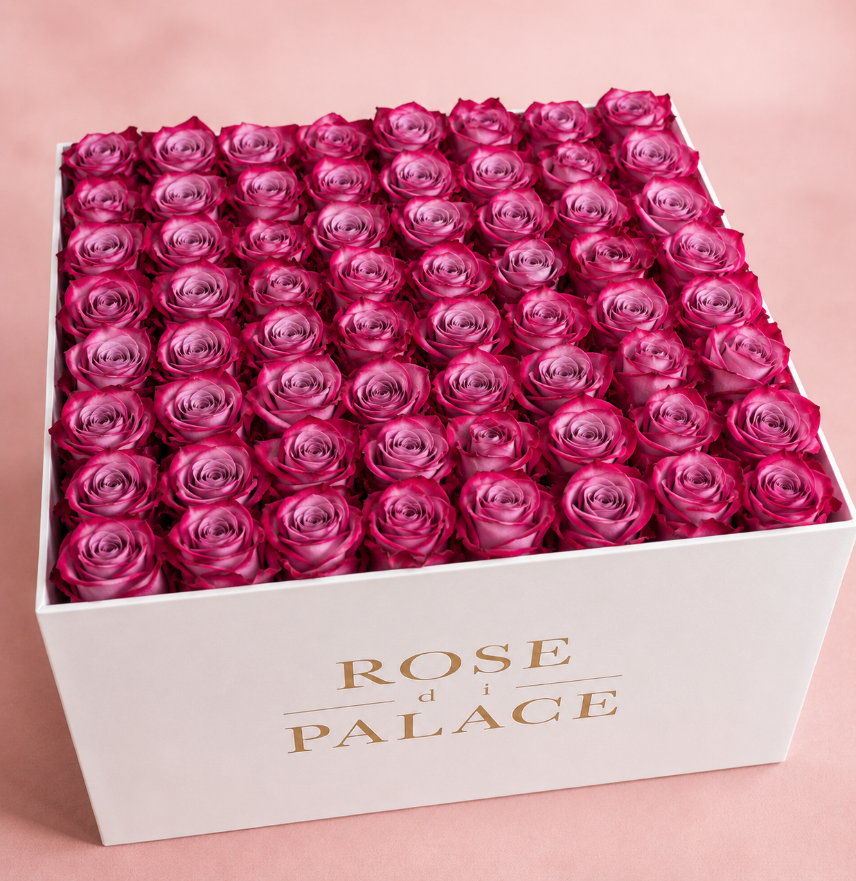 Box cuadrada 64 rosas