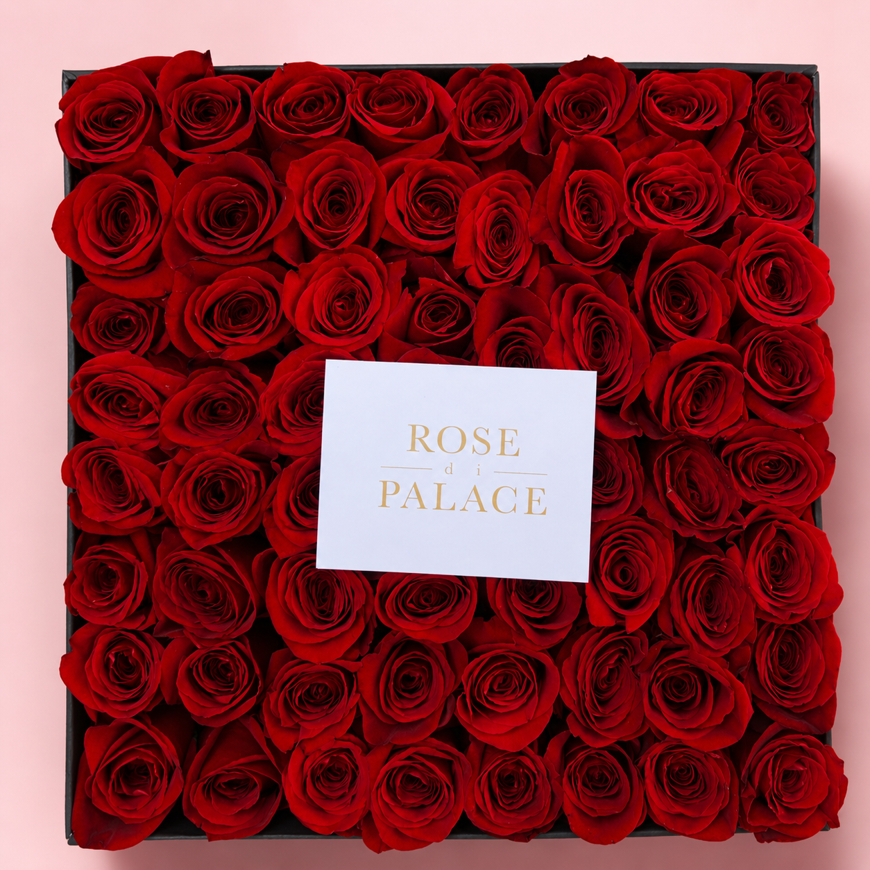 Box cuadrada 64 rosas