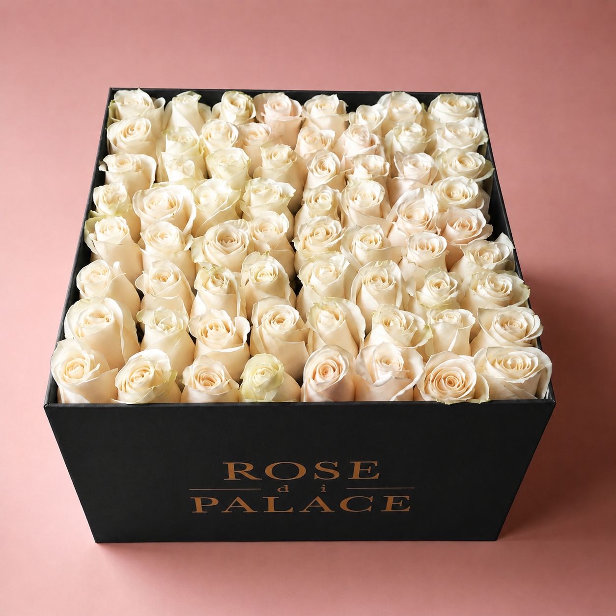 Box cuadrada 64 rosas
