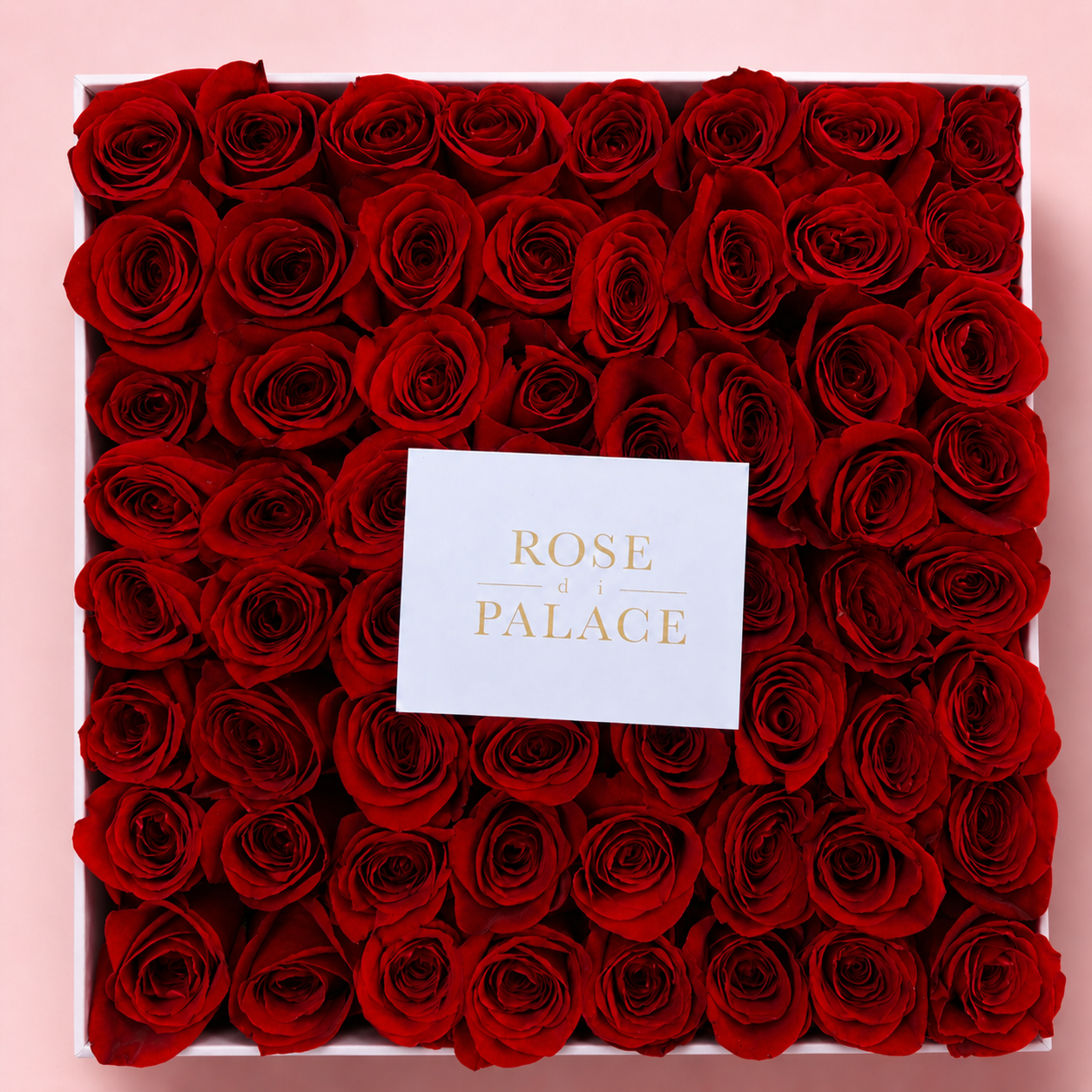 Box cuadrada 64 rosas