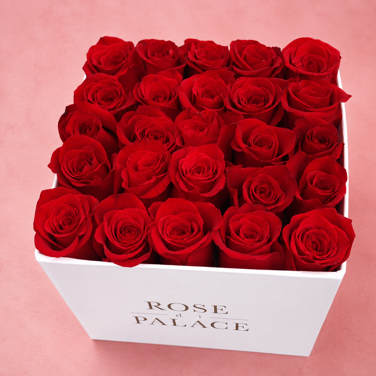 Box mediana 25 rosas