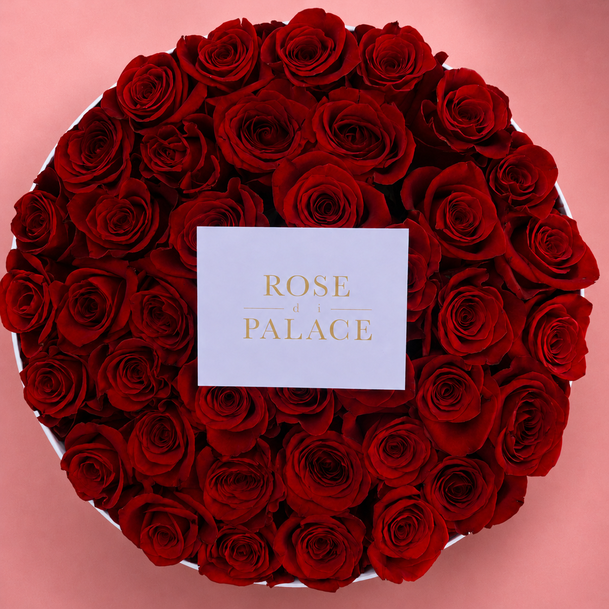 Box redonda 46 rosas