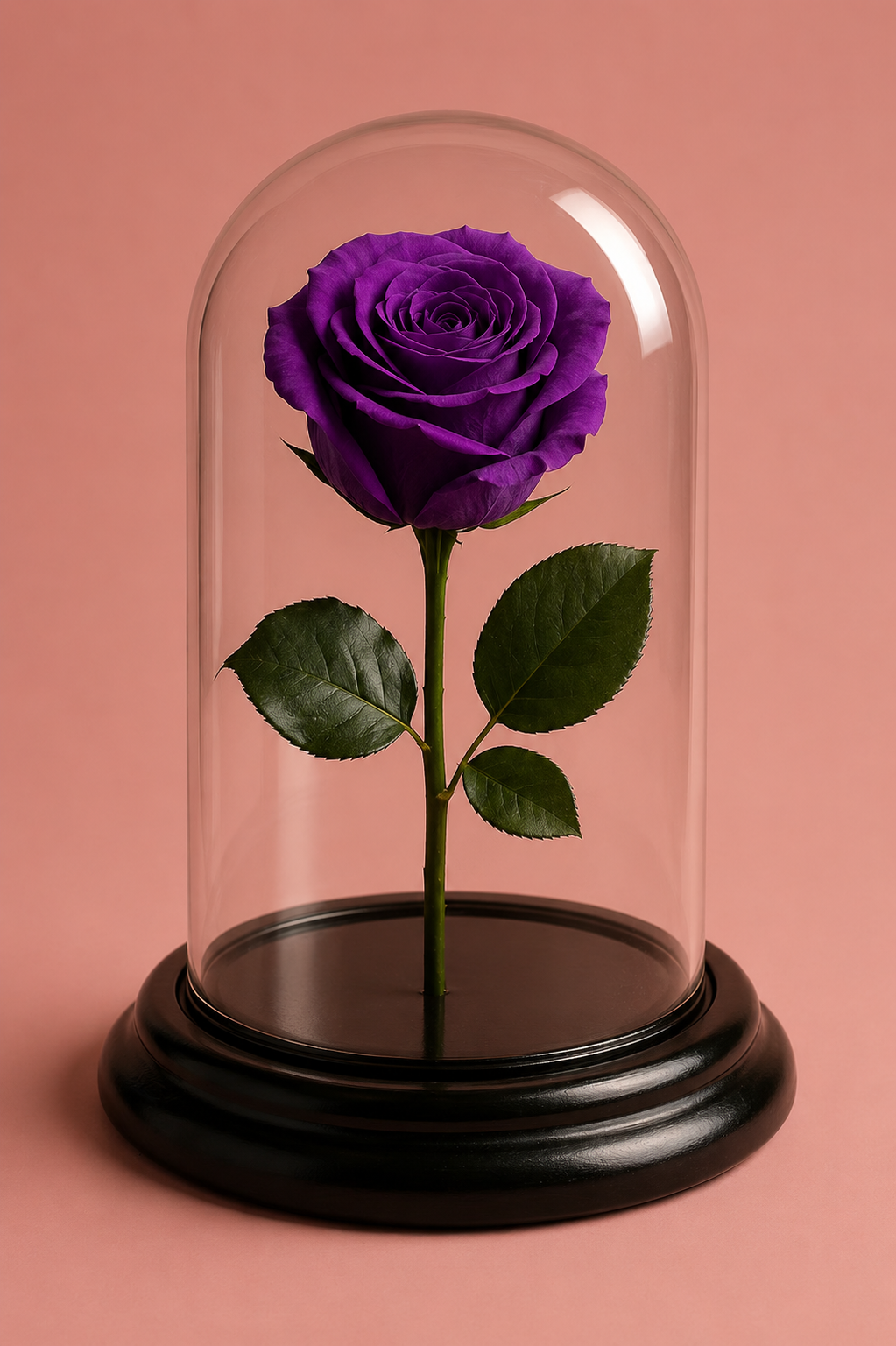 Rosa infinita -  Small