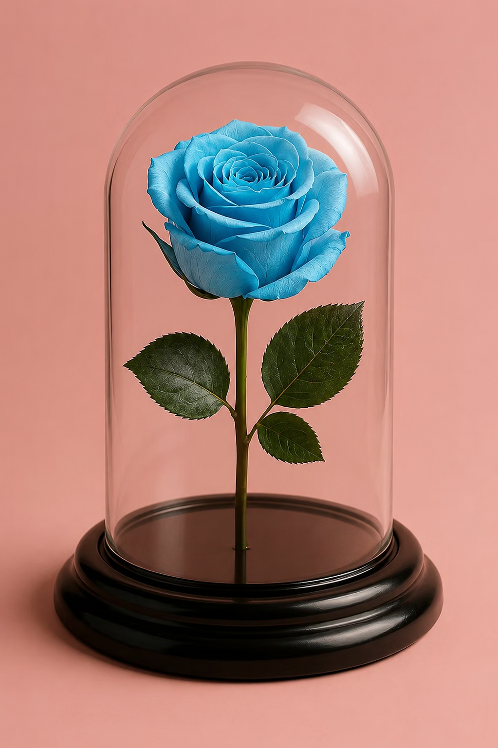 Rosa infinita -  Small