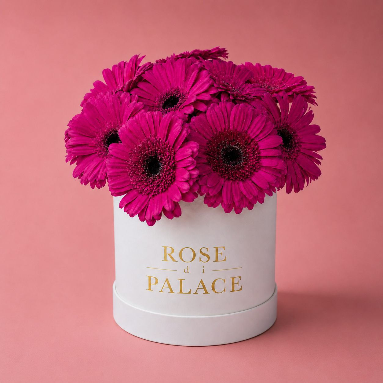 Box 10 Gerberas