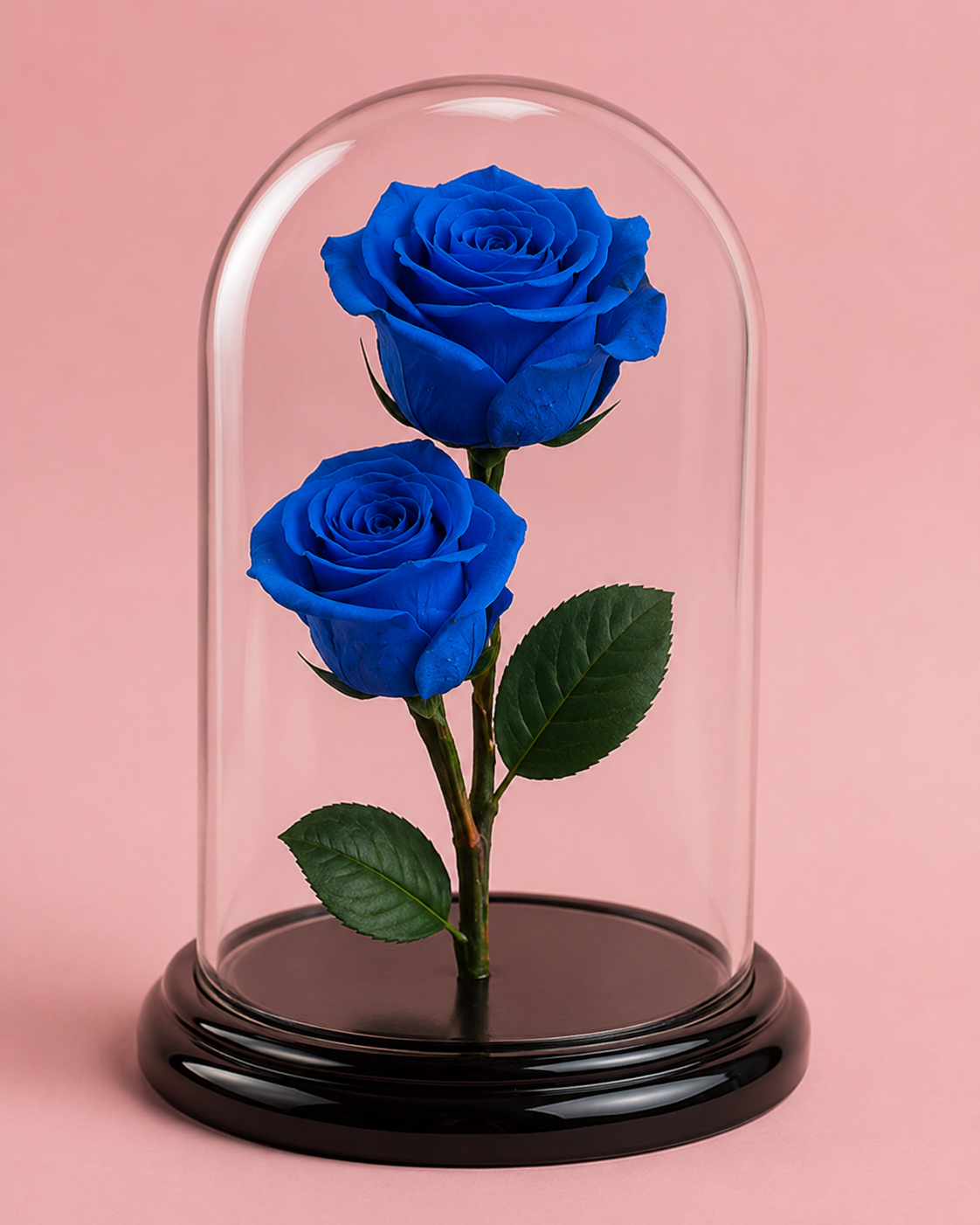 Rosa infinita - Big