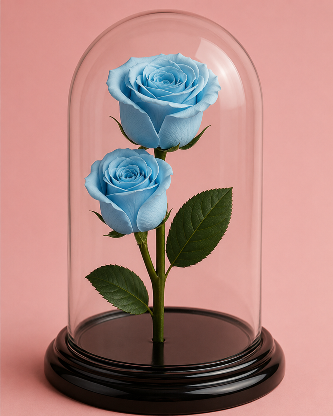 Rosa infinita - Big
