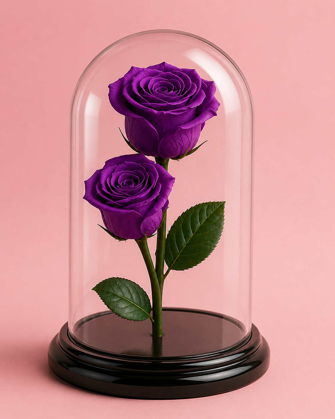 Rosa infinita - Big