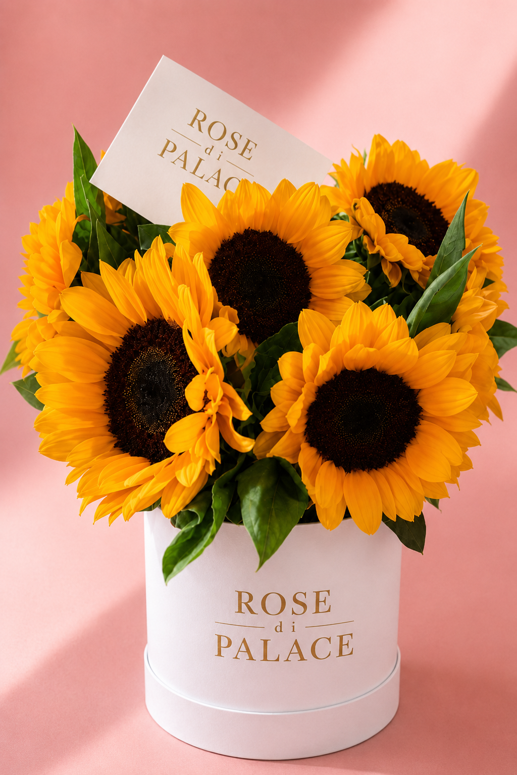 Box Girasoles Small